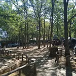 Cavenes Campsite